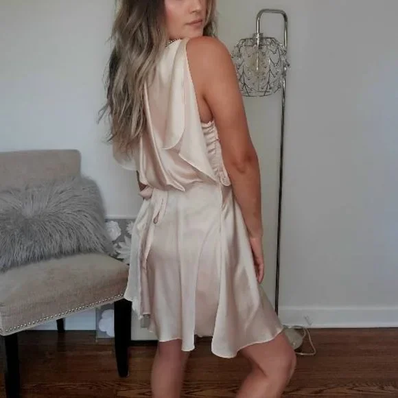 Pearl Pink Satin Dress - Picture 8 of 16